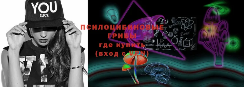 Псилоцибиновые грибы MAGIC MUSHROOMS  где купить   Тарко-Сале 